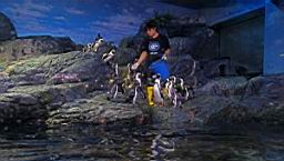 Siam Ocean World Bangkok_3299.JPG